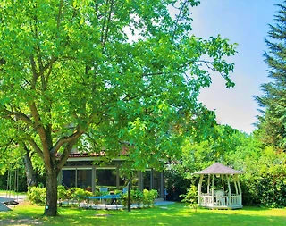 Sapanca'da Romantik Tasarıma Sahip, Geniş Bahçeli, Şömineli, Şık Villa - 5