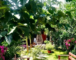 Antalya Konyaaltı'nda Doğa Manzaralı, Aileler İçin Uygun, Kiralık Oda - 5