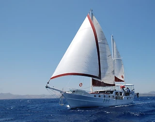 Bodrum'da Eşsiz Doğa Eşliğinde, 8 Kişilik, Modern Gulet - 3