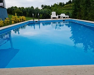 Sapanca'da Şehrin Gürültüsünden Uzak, Özel Havuzlu, Lüks Villa - 4