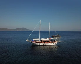 Bodrum'da Masmavi Sularda, Modern Dizayna Sahip, 8 Kişilik Gulet - 3