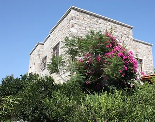 Bodrum Bitez'de Yemyeşil Bahçeli, Özel Havuzlu, Konforlu Villa - 3