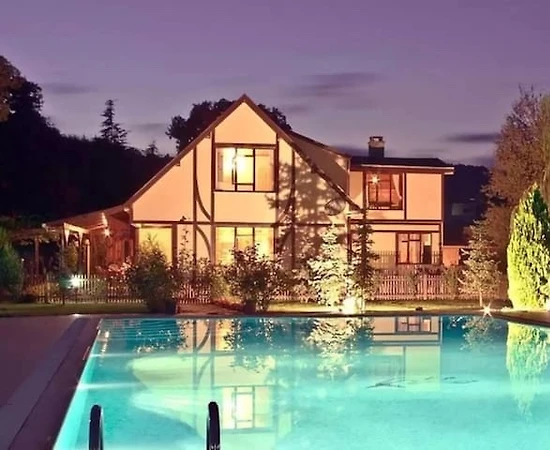 İstanbul'da Görenleri Hayran Bırakan, Büyük Yüzme Havuzlu, Şık Villa - 1