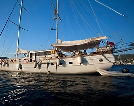 Bodrum'da Görkemli Doğada, 16 Kişilik, Lüks Gulet - 3