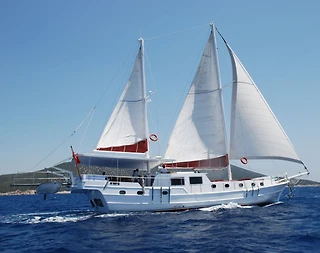 Bodrum'da Eşsiz Doğa Eşliğinde, 8 Kişilik, Modern Gulet - 4