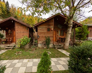 Bolu Abant'ta Yeşillikler İçerisinde, Kahvaltı Dahil, Otantik Bungalov - 2