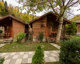 Bolu Abant'ta Yeşillikler İçerisinde, Kahvaltı Dahil, Otantik Bungalov - 2