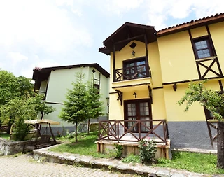 Abant'ta Çekirdek Ailelere Uygun, Ortak Havuzlu, Kahvaltı Dahil Villa - 1