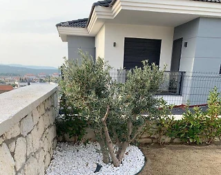 İzmir Çeşme'de Merkezi Konumda, Özel Havuzlu, 3+1 Modern Kiralık Villa - 5