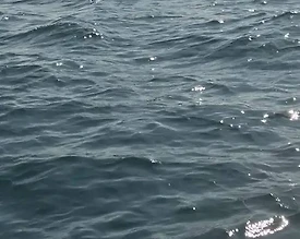 Antalya Aksu'da Serin Sularda, Modern Tur Teknesi  - 3