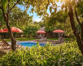 Antalya Alanya'da Merkeze Yakın Konumda, Ortak Havuzlu, Kiralık Bungalov - 3