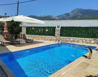 Antalya Kumluca'da Çekirdek Ailelere Uygun, Özel Havuzlu, Taş Villa - 5