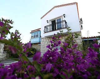 Antalya Manavgat'ta Geniş Bahçeli, Özel Havuzlu, 3+1 Şık Villa - 3