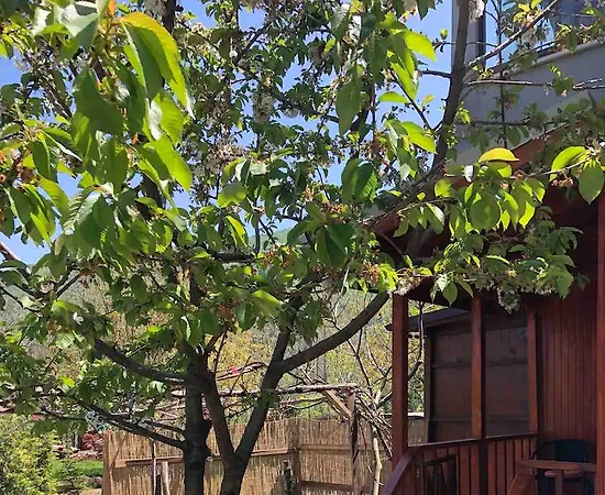 Sapanca Memnuniye'de Müstakil Bahçeli, 2 Kişilik, Kiralık Tiny House - 1