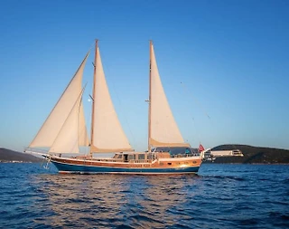 Bodrum'da Son Derece Konforlu, Ferah Gulet - 1