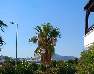 Bodrum Gümbet'te Muhteşem Deniz Manzaralı, Özel Havuzlu, Kiralık Villa - 5