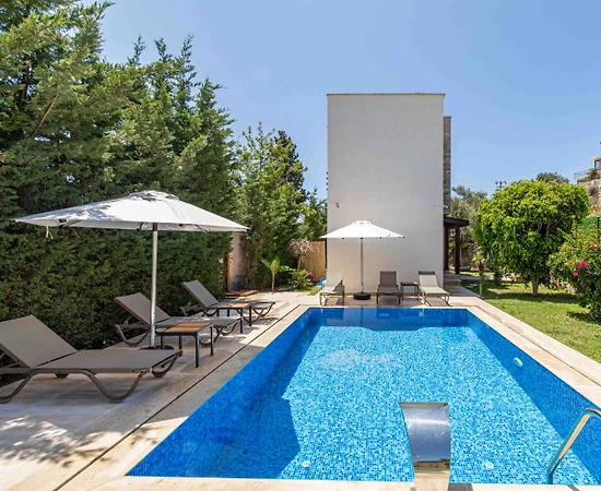 Bodrum Gümüşlük'te Denize Ve Merkeze Yakın, Özel Havuzlu, 3+1 Villa - 1