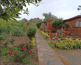 Bodrum Gümüşlük'te Doğa İçerisinde, Merkezi Konumda, Kiralık Bungalov - 3