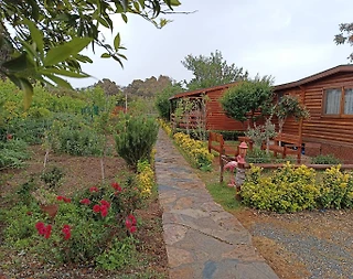 Bodrum Gümüşlük'te Doğa İçerisinde, Merkezi Konumda, Kiralık Bungalov - 3