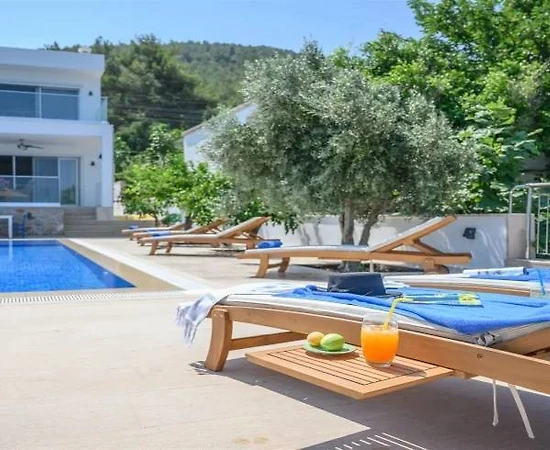 Bodrum Güvercinlik'te Göz Alıcı Manzaralı, Özel Havuzlu, Lüks Villa - 1