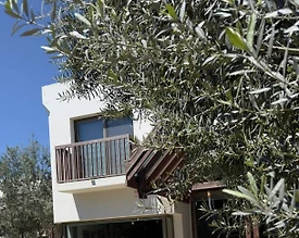 Bodrum Konacık'ta Yemyeşil Bahçeli, Özel Havuzlu, Rustik Villa - 2