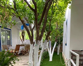 Bodrum Mazı'da Denize Sıfır, Kalabalık Ailelere Uygun, Bahçeli, 2+1 Ev - 1