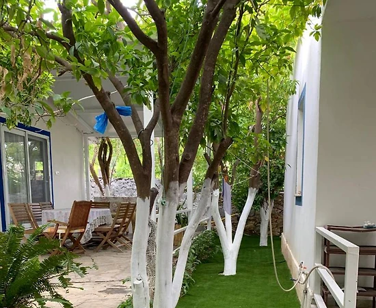 Bodrum Mazı'da Denize Sıfır, Kalabalık Ailelere Uygun, Bahçeli, 2+1 Ev - 1