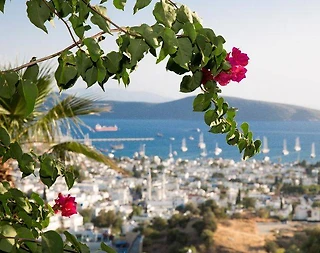 Muğla Bodrum'da Deniz Manzaralı, Özel Havuzlu, 6 Kişilik Villa - 5