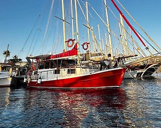 Bodrum Merkez'de Serin Sularda, 12 Metrelik, Tur Guleti - 1