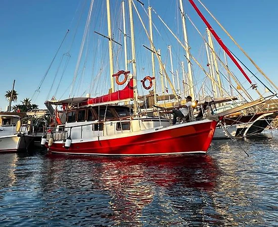 Bodrum Merkez'de Serin Sularda, 12 Metrelik, Tur Guleti - 1