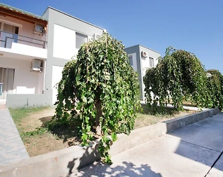 Bodrum Ortakent'te Denize Sıfır, Site İçerisinde, Konforlu Daire - 1