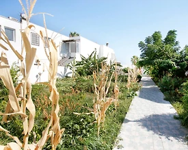 Bodrum Ortakent'te Denize Sıfır, Site İçerisinde, Konforlu Daire - 3