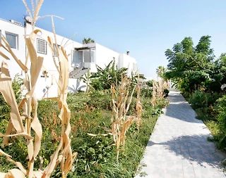 Bodrum Ortakent'te Denize Sıfır, Site İçerisinde, Konforlu Daire - 3