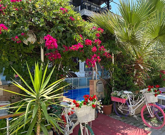 Muğla Bodrum'da Denize Yakın, Ortak Havuzlu, 1+1 Konforlu Suit - 1