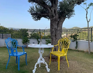 Bodrum Çiftlik'te Özel Havuzlu, Geniş Bahçeli, Konforlu Villa - 5