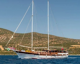 Bodrum'da Kalabalık Gruplara Uygun, 20 Kişilik, Lüks Gulet - 2