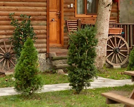 Bolu Abant'ta Huzur Dolu Doğada, Kahvaltı Dahil, Modern Bungalov - 3