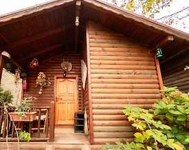 Bolu Abant'ta Huzur Dolu Doğada, Kahvaltı Dahil, Modern Bungalov  - 2