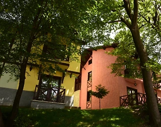 Bolu Abant'ta Balayı Çiftlerine Uygun, Ortak Havuzlu, Olanaklı Villa - 2