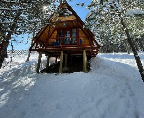 Bolu Mengen'de Doğa İle İç İçe, Kahvaltı Dahil, Modern Bungalov - 1