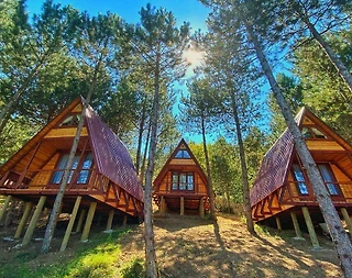 Bolu Mengen'de Kahvaltı Dahil, Modern Tasarımlı, Konforlu Bungalov - 4