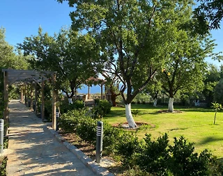 Datça Mesudiye'de Deniz ve Doğa Manzaralı, 2 Kişilik, Taş Villa - 3