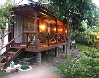 Sapanca Memnuniye'de Özel Havuzlu, 1+1, Ahşap Tiny House - 5