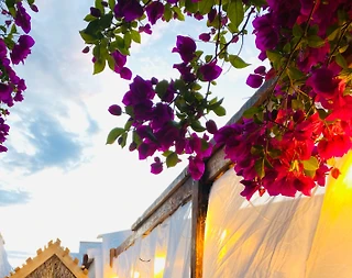 Çeşme Ildır’da Taş Mimariye Sahip, Bahçeli Tatil Evi - 3