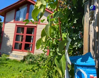 Datça Kızılan'da Huzurlu Doğada, Özel Havuzlu, Ahşap Bungalov - 2