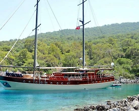 Bodrum'da Enfes Sularda, 5 Kabinli, Kiralık Lüks Gulet - 3