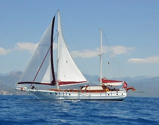 Bodrum'da Keyifli Bir Deneyim Yaşayacağınız, 6 Kişilik, Konforlu Gulet - 1