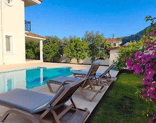 Ortaca Dalyan'da Yemyeşil Bahçeli, Özel Havuzlu, 8 Kişilik Villa - 5