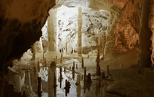 damlataş header 1.png