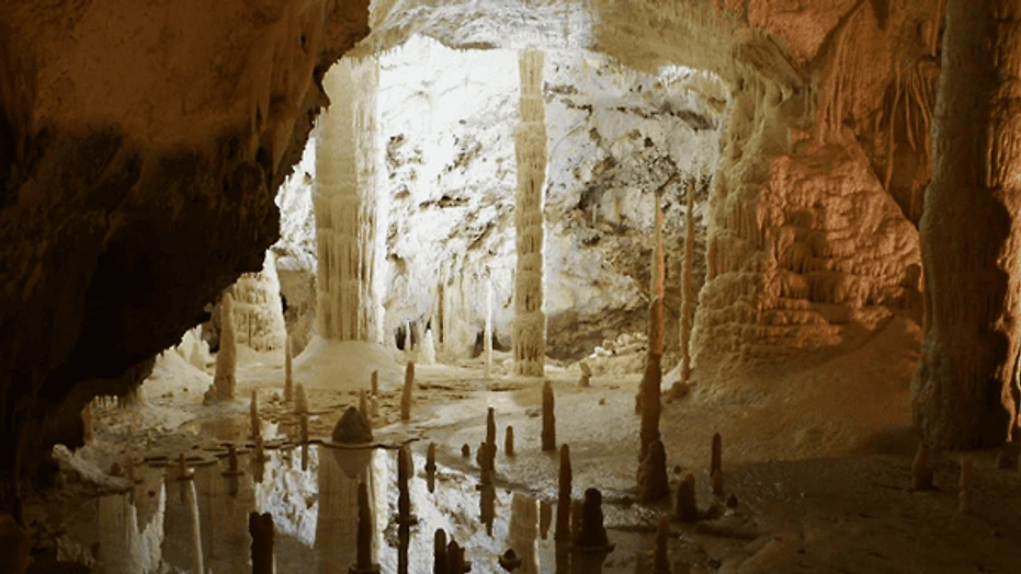 damlataş header 1.png